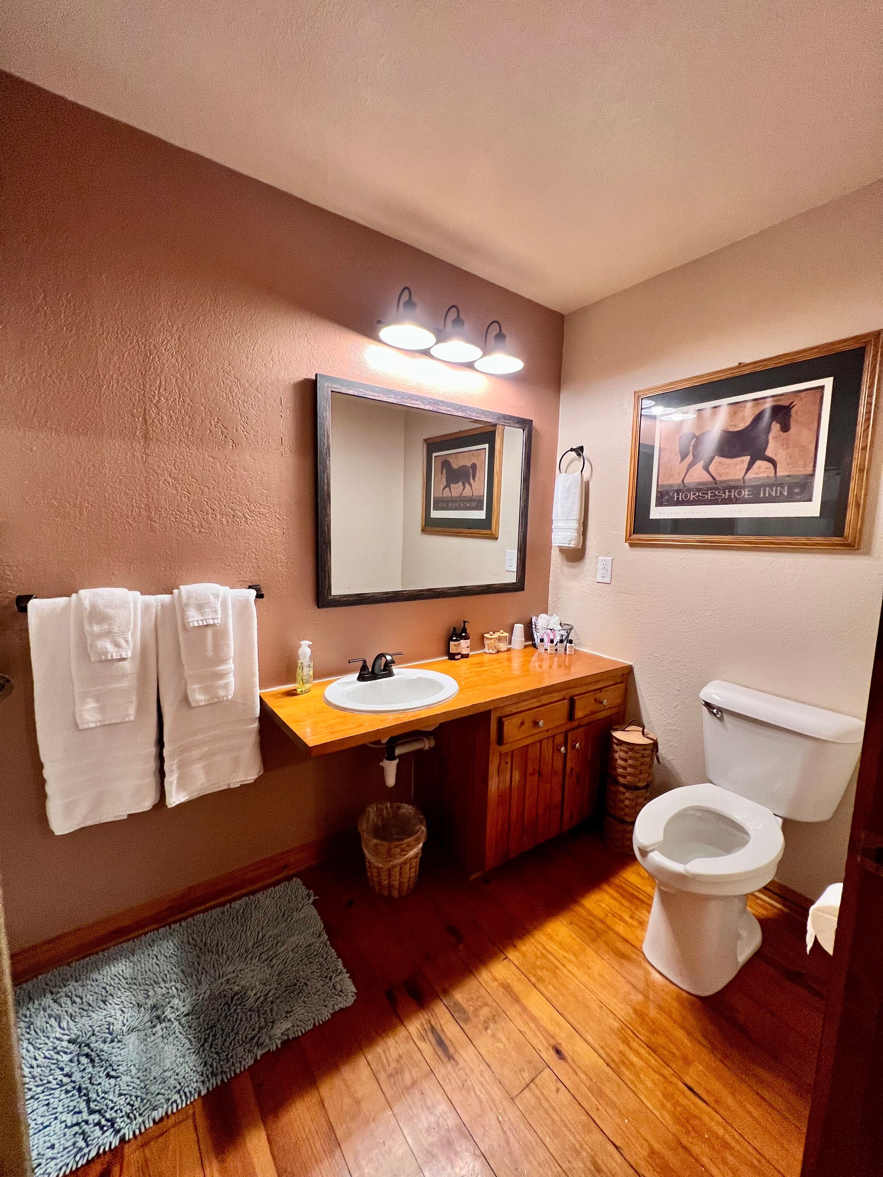 Spacious bathroom with finished wood floor, vanity with sink, toilet, plush white towels, and framed horse picture on wall